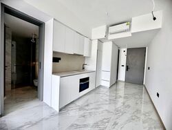 The Landmark (D3), Condominium #582397921